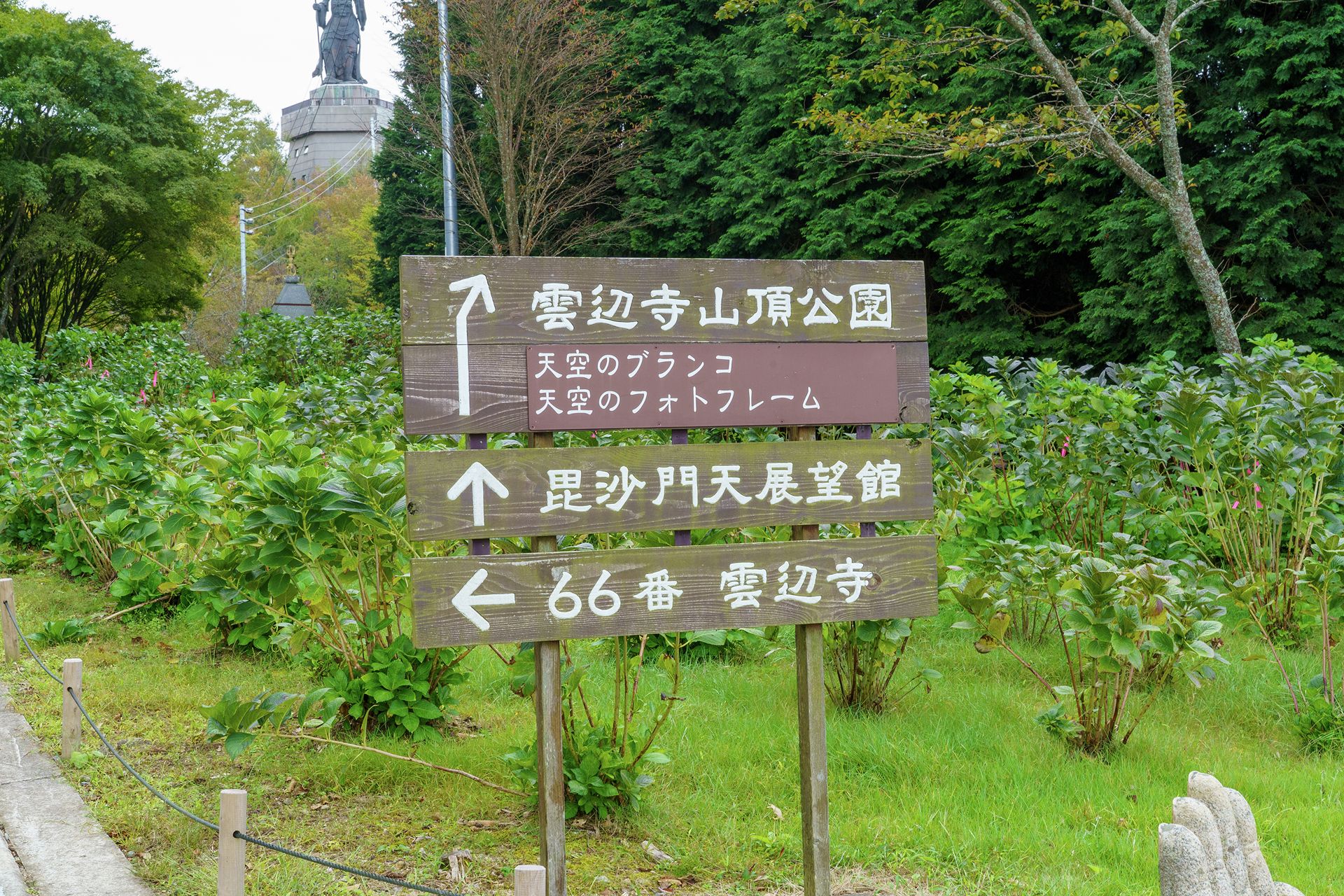 DSC06547