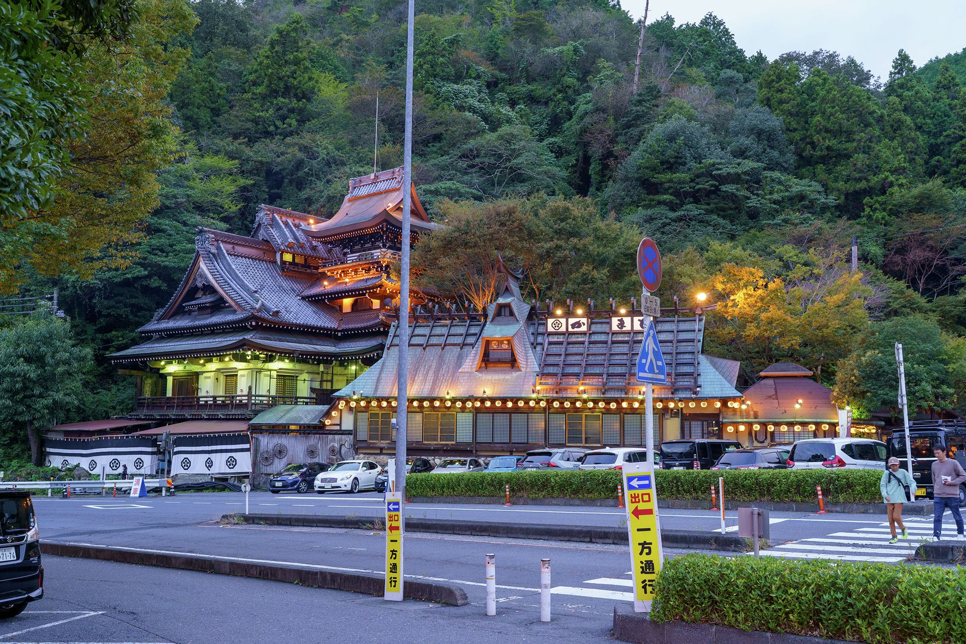DSC07118